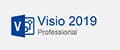 2019 Visio Pro