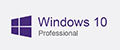 Windows 10 Professional