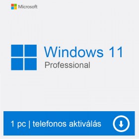 Windows 11 Professional 32 64 Bit szoftver licenc. license, licensz